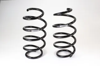 SACHS Front Coil Spring And Related Parts - 1K0411105DB